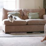 Commercial Carpet Cleaning in Winston-Salem, North Carolina