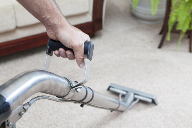 Professional Carpet Steam Cleaning vs. DIY | Steam Source