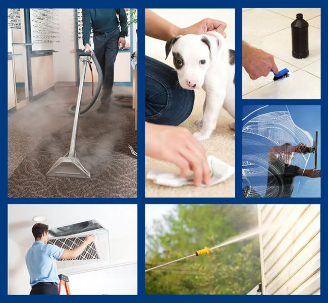 Residential Cleaning Services, Greensboro, NC Steam Source